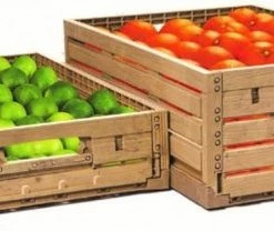 Baskin - Wood Box - Krat - Vouwkratten - Inklapbaar - Boodschappenkrat - Opbergbox - Kratten - Gerecyceld - 40 X 30 X 16 Cm -Lesser & Pavey-winkel 550x208 2