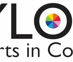 DYLON Wasmachine Textielverf Pods - Passion Pink - 350g -Lesser & Pavey-winkel 550x210