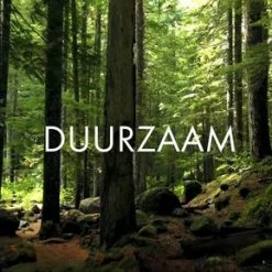 Joy Kitchen Rond Kruidenrek Reageerbuisjes Met Kurk Set Van 12 | Reageerbuisjes Glas | Ronden Kruidenrek | Kruiden Houder | Kruiden Organizer | Kruidenpotjes | Kruidenhouder | Kruidenrek Staand | Houten Decoratie | Keuken Organizers 9 Joy Kitchen Rond Kruidenrek Reageerbuisjes Met Kurk Set Van 12 | Reageerbuisjes Glas | Ronden Kruidenrek | Kruiden Houder | Kruiden Organizer | Kruidenpotjes | Kruidenhouder | Kruidenrek Staand | Houten Decoratie | Keuken Organizers -Lesser & Pavey-winkel 550x289