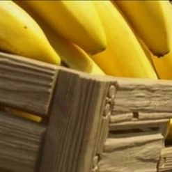 Baskin - Wood Box - Krat - Vouwkratten - Inklapbaar - Boodschappenkrat - Opbergbox - Kratten - Gerecyceld - 40 X 30 X 16 Cm -Lesser & Pavey-winkel 550x312 2