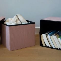 Oliva's - Opbergbox - Opbergmand Met Deksel - Opbergdoos - Opberg Poef - Set Van 2 Stuks - Velvet Ribstof - Roze -Lesser & Pavey-winkel 550x336