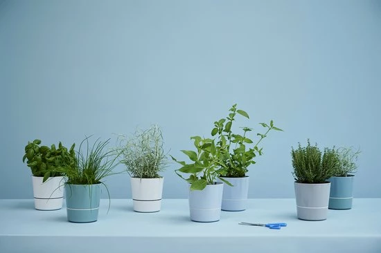 Mepal – Kruidenpot Large - Nordic Green – Automatische Bewatering – Altijd Verse Kruiden In De Keuken – Ook Geschikt Voor Planten 6 Mepal – Kruidenpot Large - Nordic Green – Automatische Bewatering – Altijd Verse Kruiden In De Keuken – Ook Geschikt Voor Planten - Afbeelding 4
