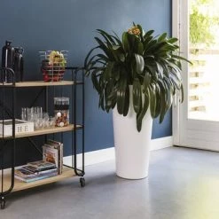 Lifa-Living LIFA LIVING Industriële Bakkerskast - Serveerwagen Op Wielen - Opbergkast - Zwart - Metaal & Hout - 80 X 41 X 93 Cm 19 Lifa-Living LIFA LIVING Industriële Bakkerskast - Serveerwagen Op Wielen - Opbergkast - Zwart - Metaal & Hout - 80 X 41 X 93 Cm -Lesser & Pavey-winkel 550x366 83