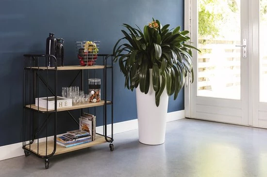 Lifa-Living LIFA LIVING Industriële Bakkerskast - Serveerwagen Op Wielen - Opbergkast - Zwart - Metaal & Hout - 80 X 41 X 93 Cm 8 Lifa-Living LIFA LIVING Industriële Bakkerskast - Serveerwagen Op Wielen - Opbergkast - Zwart - Metaal & Hout - 80 X 41 X 93 Cm - Afbeelding 6