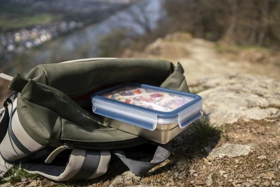 Tefal MasterSeal RVS - Vershouddoos - Rechthoek - 0,8L 5 Tefal MasterSeal RVS - Vershouddoos - Rechthoek - 0,8L - Afbeelding 3