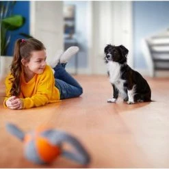 Philips Performer Compact 3000 Series XD3140/09 - Stofzuiger Met Zak 35 Philips Performer Compact 3000 Series XD3140/09 - Stofzuiger Met Zak -Lesser & Pavey-winkel 550x369 3