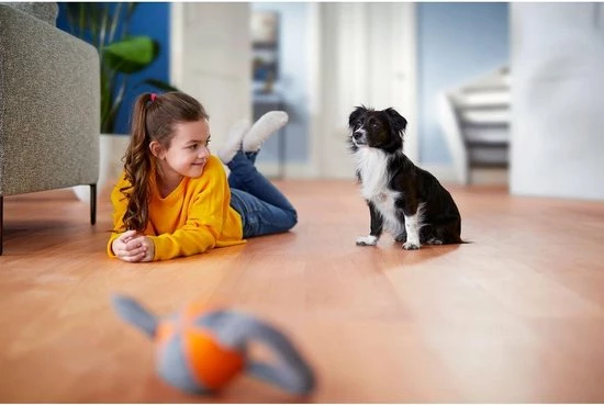 Philips Performer Compact 3000 Series XD3140/09 - Stofzuiger Met Zak 12 Philips Performer Compact 3000 Series XD3140/09 - Stofzuiger Met Zak - Afbeelding 10