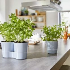 Mepal – Kruidenpot Large - Nordic Green – Automatische Bewatering – Altijd Verse Kruiden In De Keuken – Ook Geschikt Voor Planten 11 Mepal – Kruidenpot Large - Nordic Green – Automatische Bewatering – Altijd Verse Kruiden In De Keuken – Ook Geschikt Voor Planten -Lesser & Pavey-winkel 550x389 1