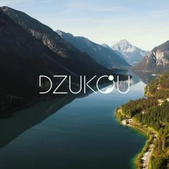 Dzukou Jim Corbett - Lunchbox - Bento Box - RVS - Met Compartimenten 9 Dzukou Jim Corbett - Lunchbox - Bento Box - RVS - Met Compartimenten -Lesser & Pavey-winkel 550x550 197