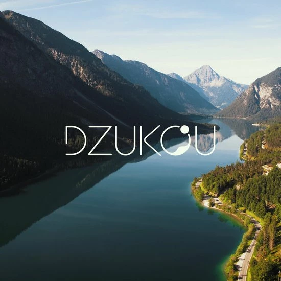 Dzukou Jim Corbett - Lunchbox - Bento Box - RVS - Met Compartimenten 4 Dzukou Jim Corbett - Lunchbox - Bento Box - RVS - Met Compartimenten - Afbeelding 2