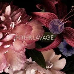 Lavayette Premium Wasparfum / Lazy Lavender / Lavendel / Geurbooster 500ml 14 Lavayette Premium Wasparfum / Lazy Lavender / Lavendel / Geurbooster 500ml -Lesser & Pavey-winkel 550x550 785