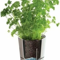 Mepal – Kruidenpot Large - Nordic Green – Automatische Bewatering – Altijd Verse Kruiden In De Keuken – Ook Geschikt Voor Planten 13 Mepal – Kruidenpot Large - Nordic Green – Automatische Bewatering – Altijd Verse Kruiden In De Keuken – Ook Geschikt Voor Planten -Lesser & Pavey-winkel 550x760 2