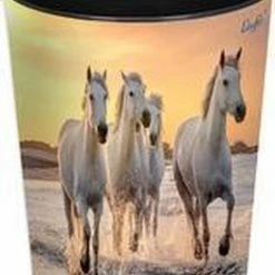 Läufer Prullenbak, Paarden Op Het Strand